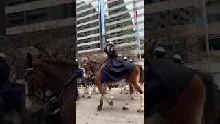 The 119th Original Santa Claus Parade #shorts #christmas #viral