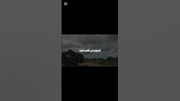 قراءة بصوت الشيخ محمد أيوب #المصحف #اكسبلور #دويتو #القزابري #لايك #محمد_ايوب #سورة_الاحزاب