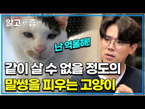 &amp;quot;온 집안이 아수라장이 됐죠&amp;quot; 길거리 학대받던 고양이 불쌍해서 데려왔더니...｜고양이를 부탁해｜알고e즘