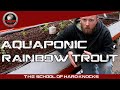 WATCH THIS Before Raising Rainbow Trout in AQUAPONICS