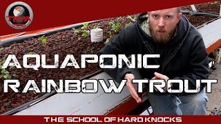 WATCH THIS Before Raising Rainbow Trout in AQUAPONICS