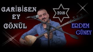 ERDEM GÜNEY - **Garibisen Ey Gönül 2018** (Niğde-Çukurkuyu Kayıtları)(Poyraz Kamera)-(Gökhan Varol) Resimi