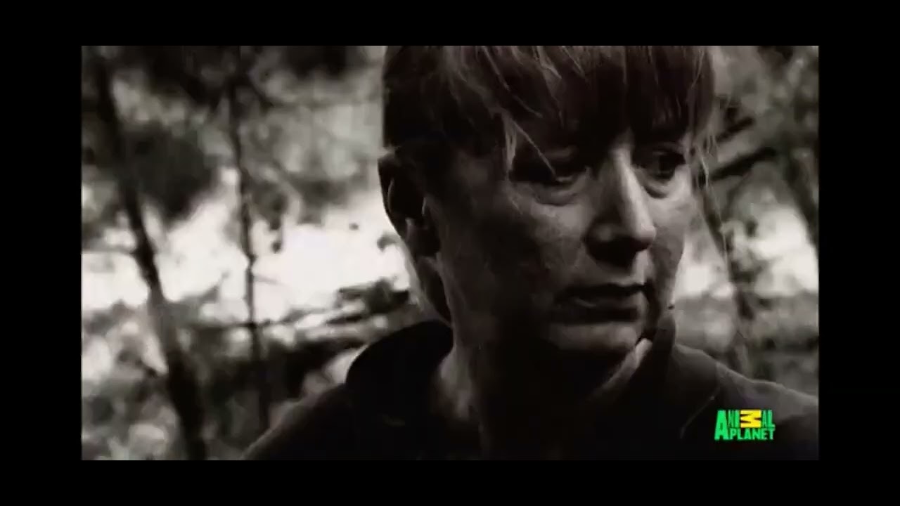 animal cops Houston s9e12 ￼