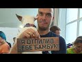 Рептилиум осень 2019. Весь первый день