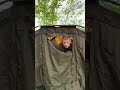 Der Karpfen hat angebissen  #angeln #fishing #karpfenangeln  #carpfishing  #carp #karpfen