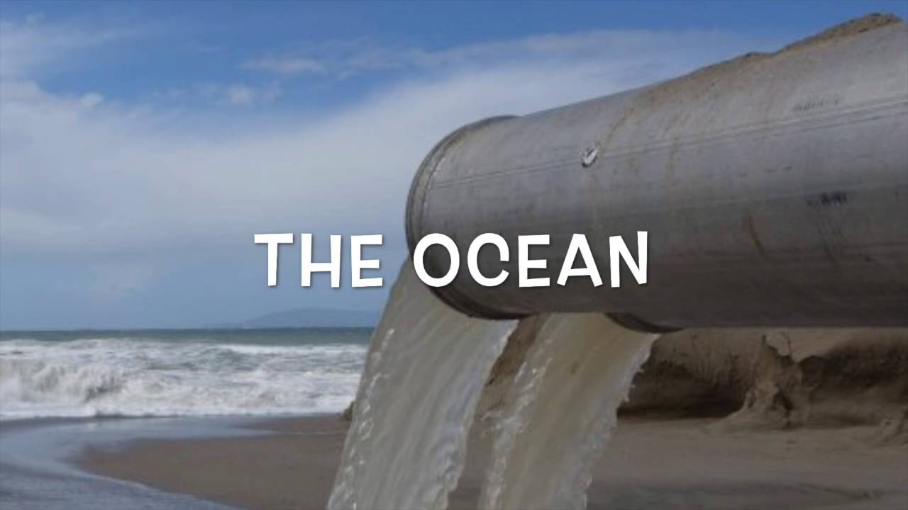 Molloy Water PSAs 2016