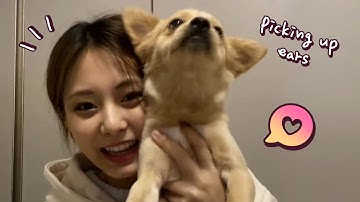 Download Eng Sub Vlive Twice Tzuyu V With Kayah Butter Mp3 Free And Mp4