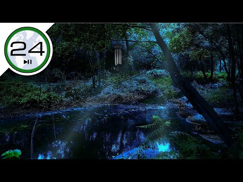 Sonido de GRILLOS, AGUA y Campana de VIENTO 💦🦗🎐 de Noche para Dormir y Relajarse. Bosque Nocturno 🌳🌗