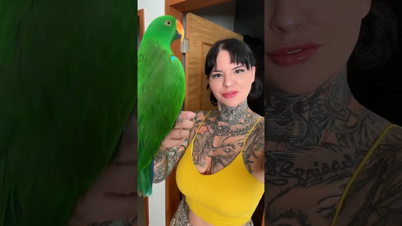 The Chicken in Green