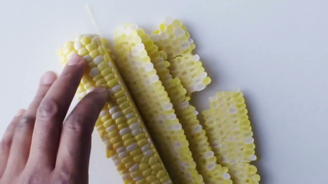 Sweet and Savory Fusion: Blackberry Hoisin Pork with Zucchini and Black Bean Rice