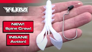 Introducing the YUM Spine Craw Soft Plastic Bass Fishing screenshot 4
