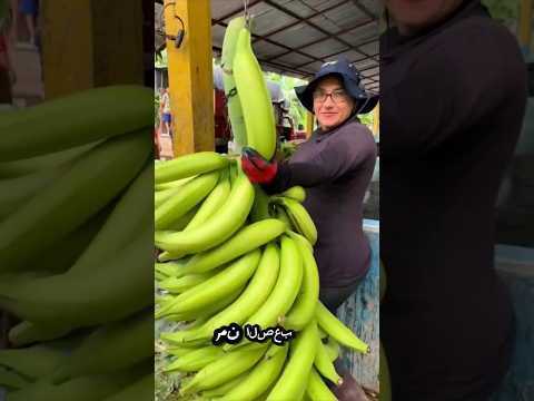 أكبر موزة في العالم      موزة قرن وحيد القرن اشترك