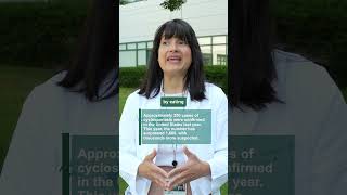 What to Know About Cyclosporiasis