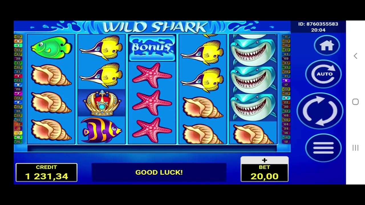 Wild Shark casino bonus - YouTube