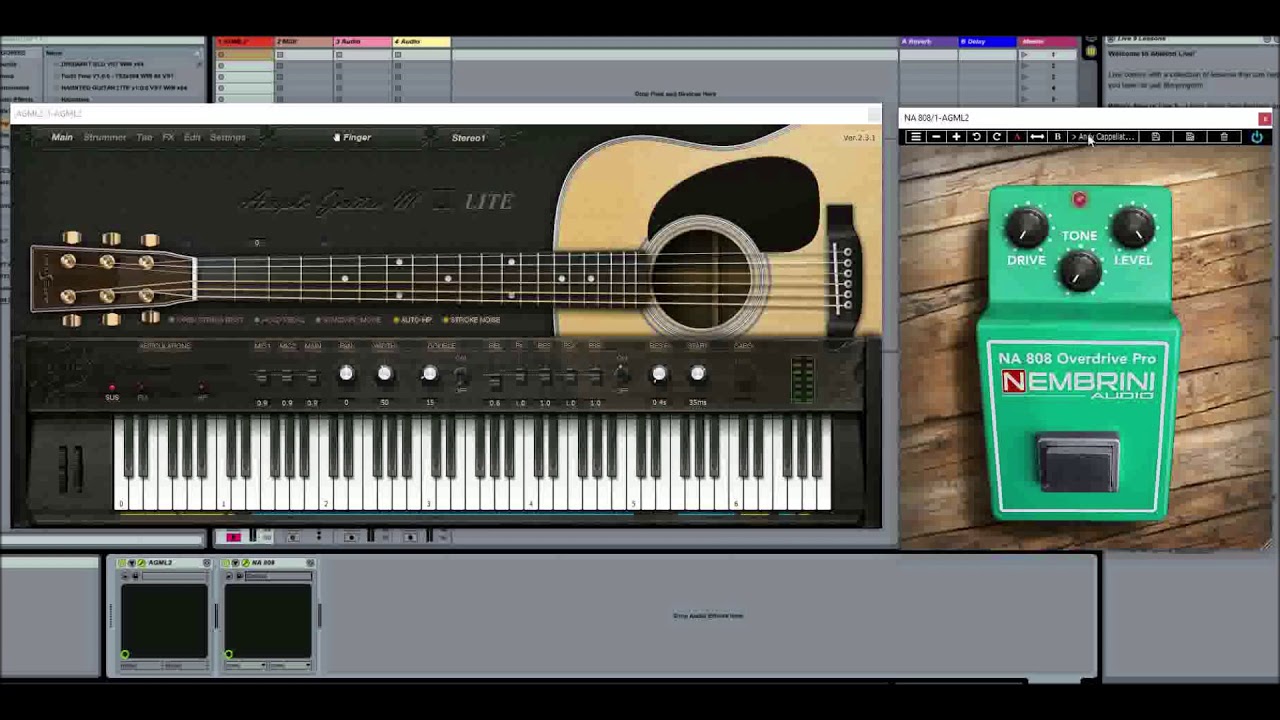 NA 808 Overdrive Pro by Nembrini Audio vid two