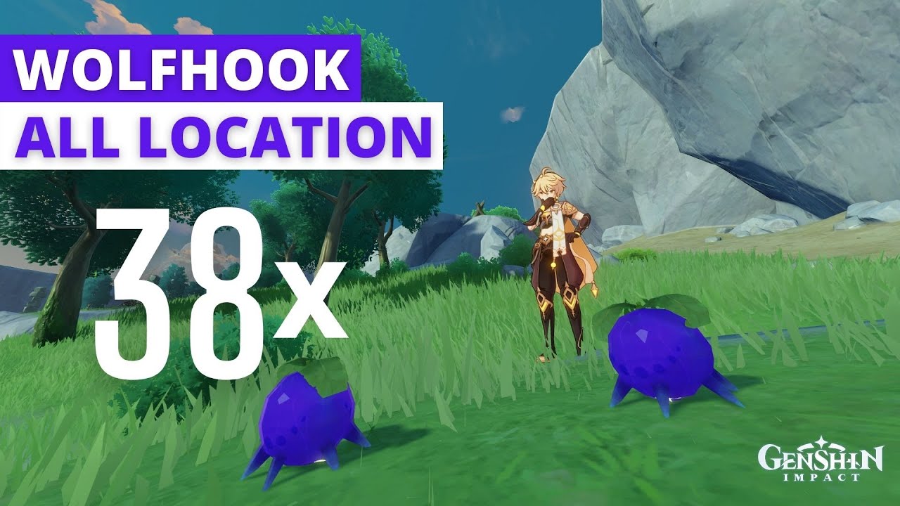 Genshin Impact 38x Wolfhook Location Fast and Efficient Detailed