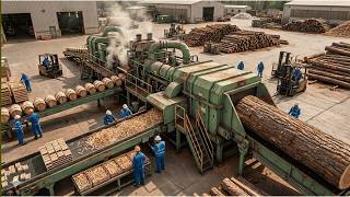 How Oak Wood Logs Become Wine Barrels & Matchsticks | Full Factory Process