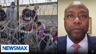 I plan on 'backing the blue and closing our southern border': Tim Scott
