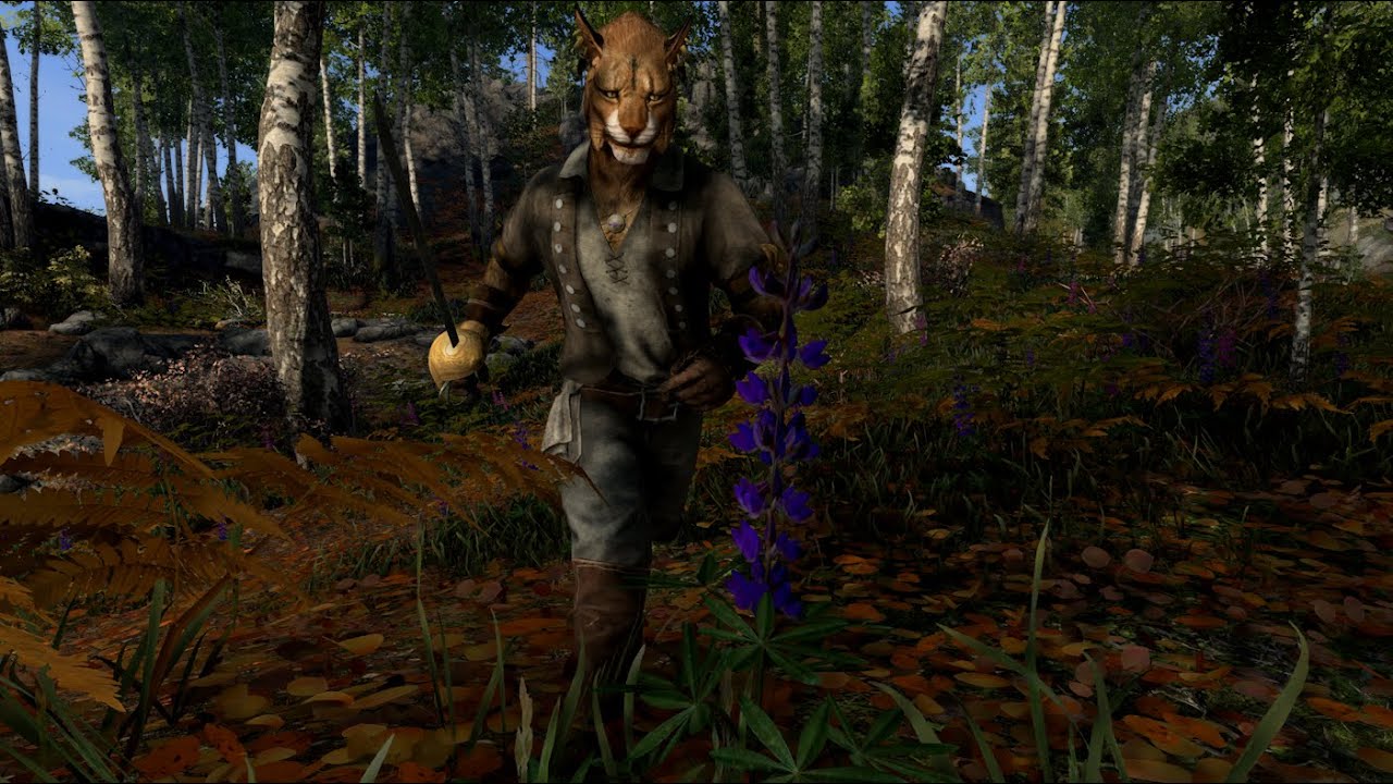 Rogue - Skyrim Anniversary Edition Build