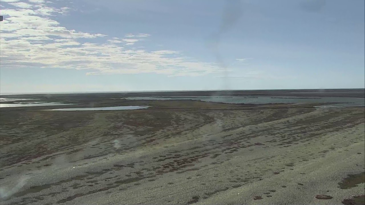 arctic ocean Polar Bears Cape North - Wapusk National Park Cam 06-24-2018 06:17:07 - 07:17:07