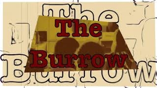 The Burrow Live at Moon Rock Records - Like Real Liberty