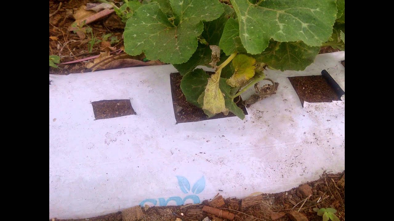 Coir product expoerter