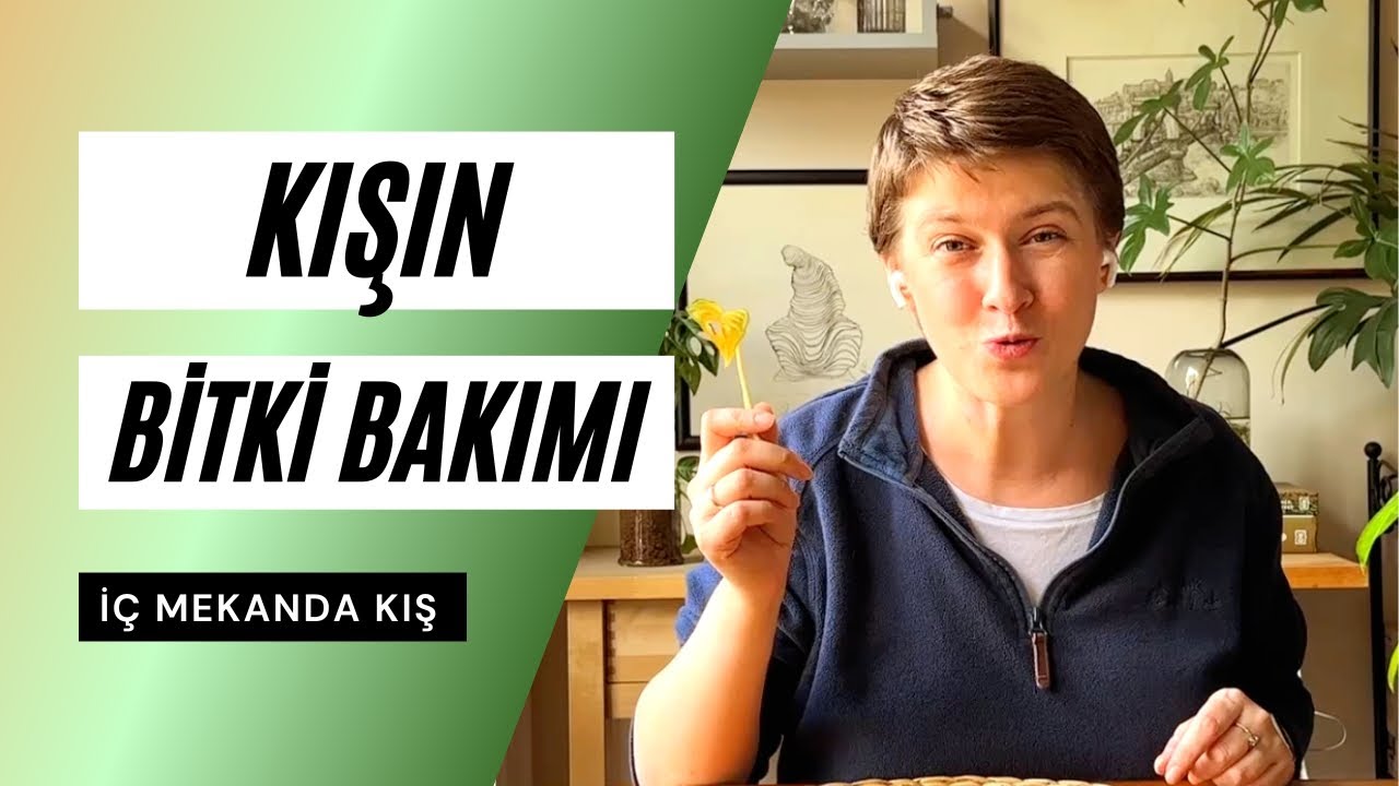 Kışın Bitki Bakımının Püf Noktaları | İç Mekan Kış Bitki Bakımı