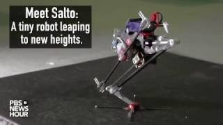 This jumping robot leaps to new heights