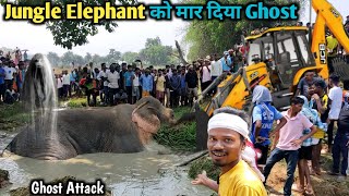 Jungle Elephant को मार दिया Ghost | हमारा जंगल Dangerous बनगया | घर में Fish Curry बनेगा #vlog