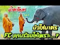 บัวบานใส่บาตรएक हाथी,elephant