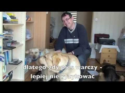 Wideo: Dlaczego Pies Patrzy W Pustkę I Warczy