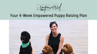 A Must Have for Every Dog Owner - 'Raising the Empowered Puppy' Guide by 4E Kennels  1,219 views 7 months ago 1 minute, 37 seconds