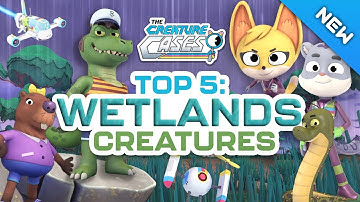 @CreatureCases - 🐍 These Animals Love the Wet Outdoors! 💦 | Educational Videos for Kids