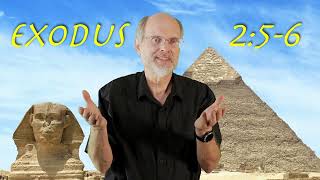 Exodus 2:5-6 Spared by Pharaoh's Daughter screenshot 5