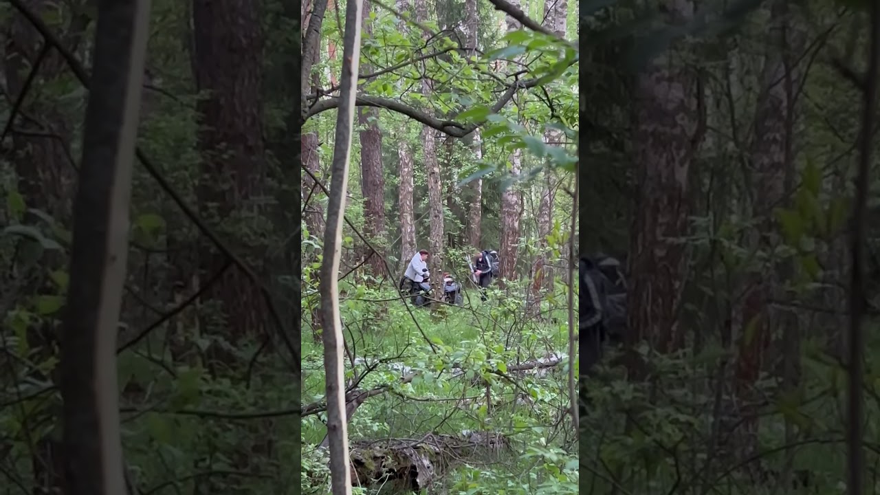 В лесной глуши 😶‍🌫️ 