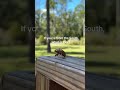 ?? #mothernature #frontporch #insects