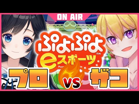 【ぷよぷよ e-Sports】ぷよぷよ未経験でもプロに勝つ可能性はあるのか？！【ほたるたる・夜凪ノア/Vtuber】