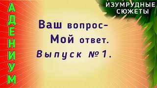 :   .   -  .    1.