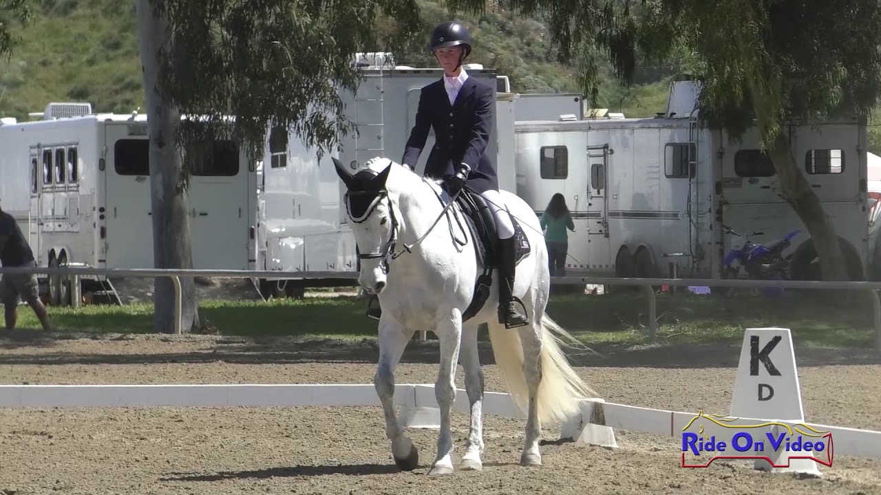 downs sims 128D Tallis Dixon on Heritage ailea Training AM Dressage Galway Downs March 2019