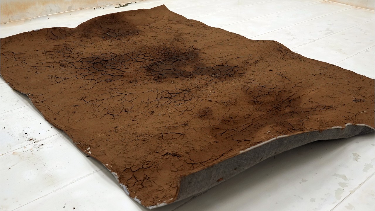 My Neighbors Said I Was Crazy to Clean This Carpet… Then They Asked for It - Carpet Cleaning ASMR