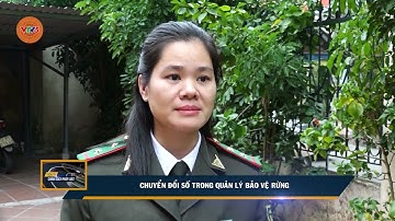 CHUYỂN ĐỔI SỐ TRONG QUẢN LÝ BẢO VỆ RỪNG | VTV5