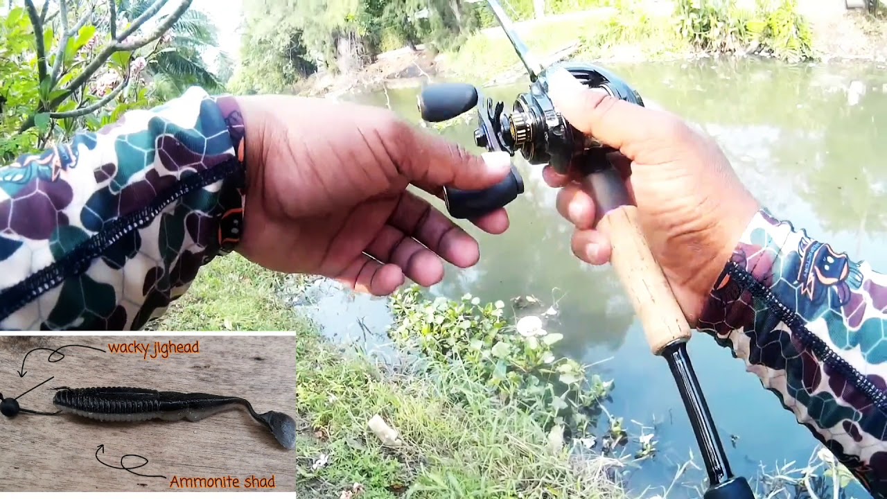 Street Fishing Ep.4 Wacky jighead + Luresfactory soft bait glossy shad+Ammonite shad