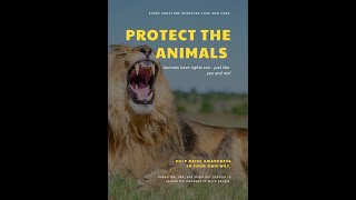 The African Lion (Panthera leo)