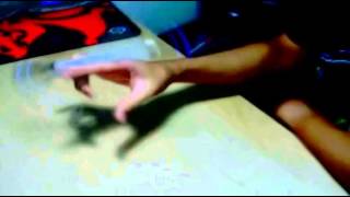 Download lagu oOShinRaOo 2013