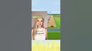 If you like my video, please don