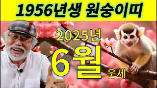 2025년 6월운세 [1956년생 원숭이띠] #1956년생운세 #원숭이띠운세 #을사년 #을사년운세 #신년운세 #신년운 #원숭이띠 #6월운세