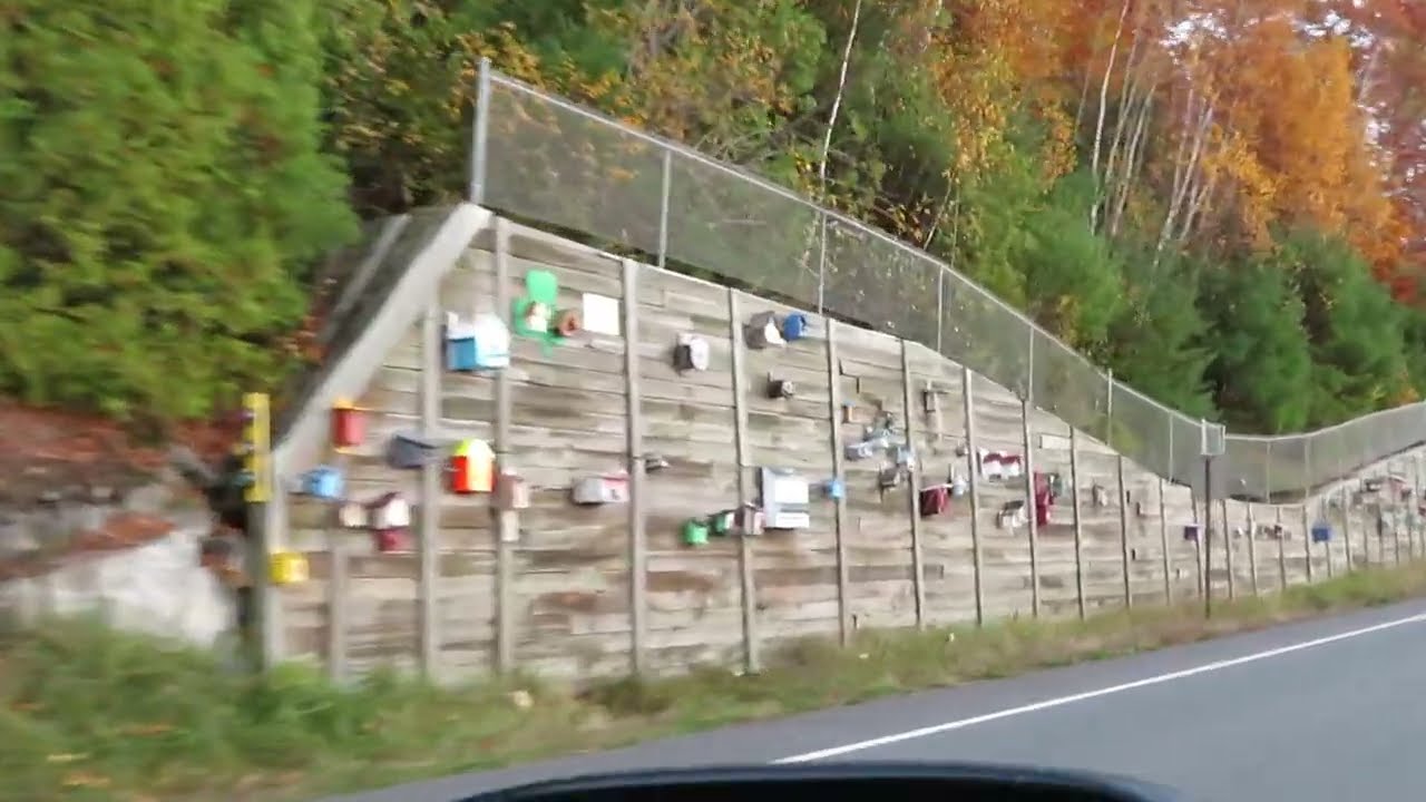 Million Dollar Birdhouse Wall_Moscow_Maine_USA YouTube