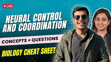 Neural Control and Coordination | Concepts + Questions | Biology Cheat Sheet | NEET 2024