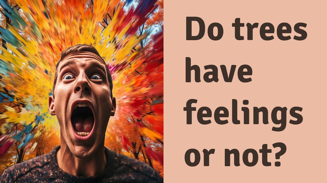 Do trees have feelings or not? YouTube