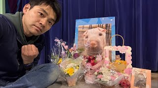 もやちゃん、お誕生日おめでとう。最近の悩み。